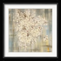 White Cherry Blossom I Fine Art Print