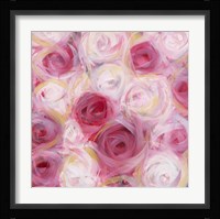 White and Pink Roses Framed Print