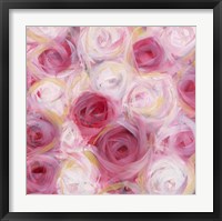 White and Pink Roses Framed Print