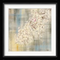 White Cherry Blossom II Fine Art Print