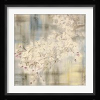 White Cherry Blossom IV Fine Art Print