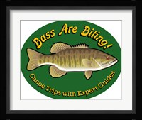 Bass Are Biting Fine Art Print