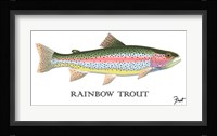 Rainbow Trout Fine Art Print
