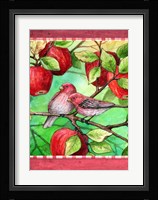 Red Finches With Apples Fine Art Print