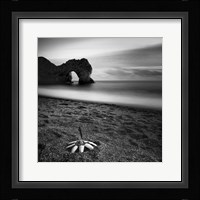 Durdle Feather Fine Art Print