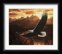 Evening Cruise Fine Art Print