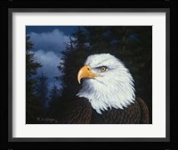 The Face Of Freedom Framed Print