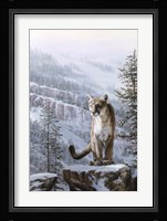 Positive Traction Fine Art Print