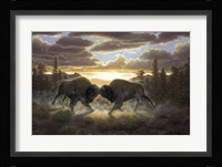 Buffalo Fine Art Print