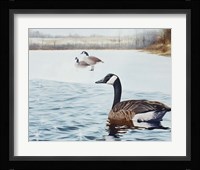 Promise Of Spring Fine Art Print