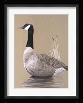 Lone Goose Fine Art Print
