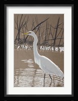 Great Egret Fine Art Print