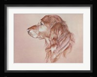 Dog Eight Fine Art Print