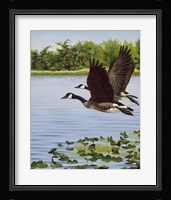 South Bound Journey Fine Art Print