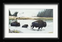 Spirit Of Yellowstone Fine Art Print