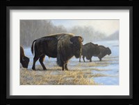 Spirit Keeper Fine Art Print