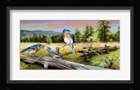 Bluebird Meadow Fine Art Print