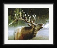 Elk In Mist Fine Art Print