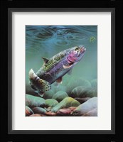 Rainbow Framed Print