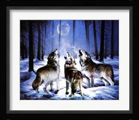 Three Dog Night Fine Art Print
