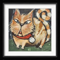 Square Cat Framed Print