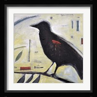 Redwing No. 3 Framed Print