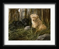 Lab Pup Pair Fine Art Print