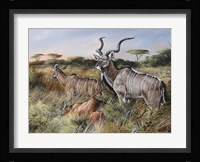 A Brief Look Back Framed Print