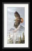 Binking In Flight Framed Print