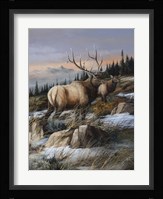 Cool Autumn Fine Art Print