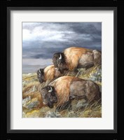 Distant Thunder Fine Art Print