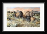 Gentle Breezes Fine Art Print