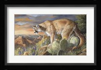 Lord Of The Canyon Fine Art Print