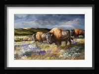 Spring Storm's Passing Fine Art Print