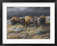 Storm Remnants Framed Print