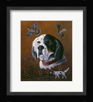 English Setter Framed Print