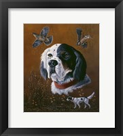 English Setter Framed Print
