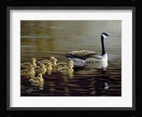 Leading The Way Fine Art Print