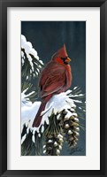 Winter Cardinal Fine Art Print