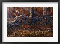 Autumn Reds - Red Fox Fine Art Print