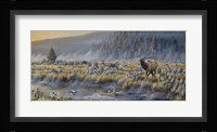 Autumn Classic - Elk Fine Art Print