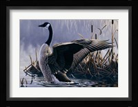 1992 Canada Goose Fine Art Print