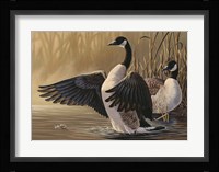 1994 Canada Geese Fine Art Print