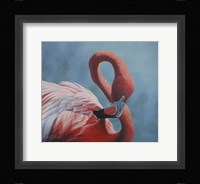 Figure 8 - Flamingo Fine Art Print