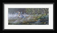 Quiet Cove - Great Blue Heron Fine Art Print