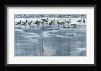 Midwinter Thaw Fine Art Print