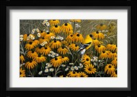 Summer Gold Fine Art Print