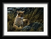 Cougar In The Grass Fine Art Print