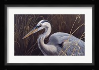 Great Blue Heron Fine Art Print