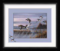 Ducks In Flight 1 Fine Art Print
